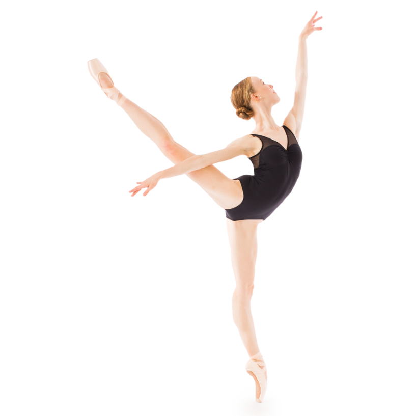 Gaynor Minden Pointe Shoe