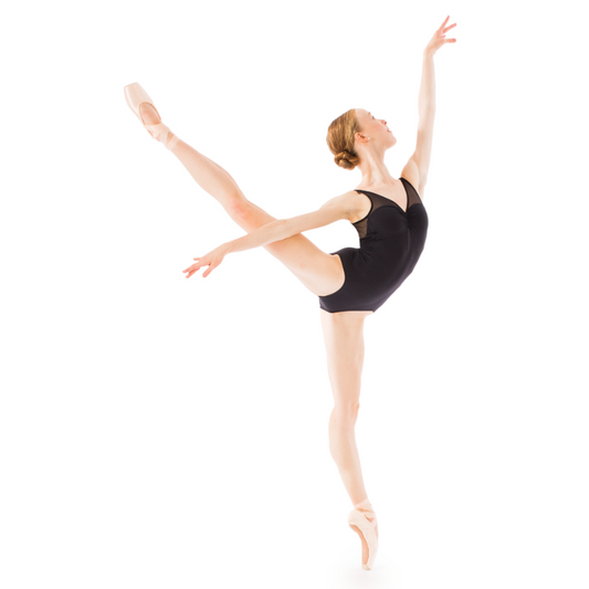 Gaynor Minden Pointe Shoe